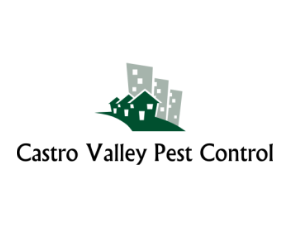 Castro Valley Pest Control