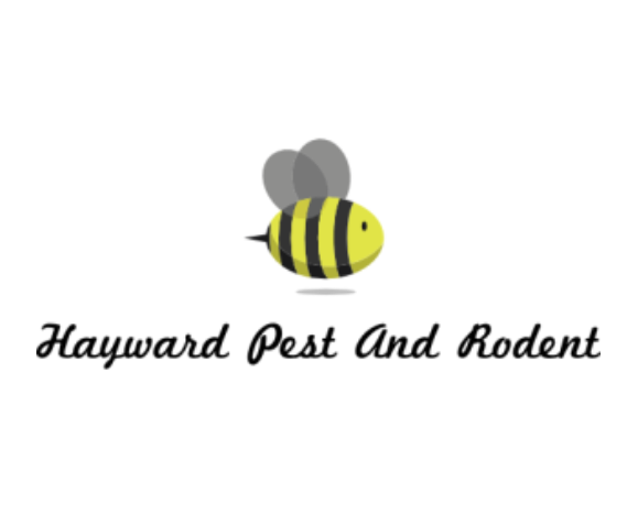 Hayward Pest And Rodent Control