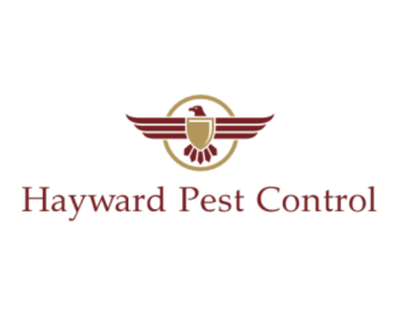 Hayward Pest Control