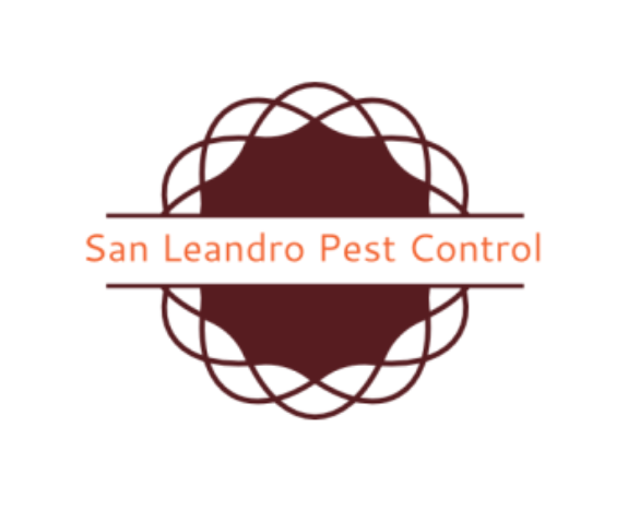 San Leandro Pest Control