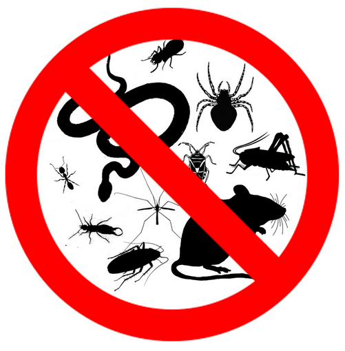 In Touch Pest Control