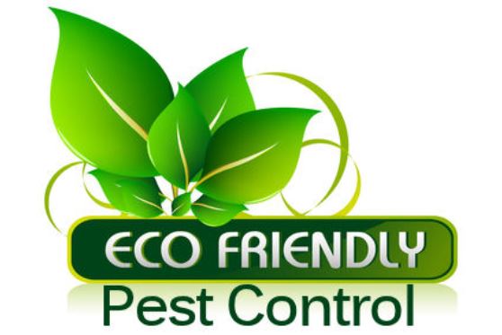 Rossmoor Termite & Pest Control