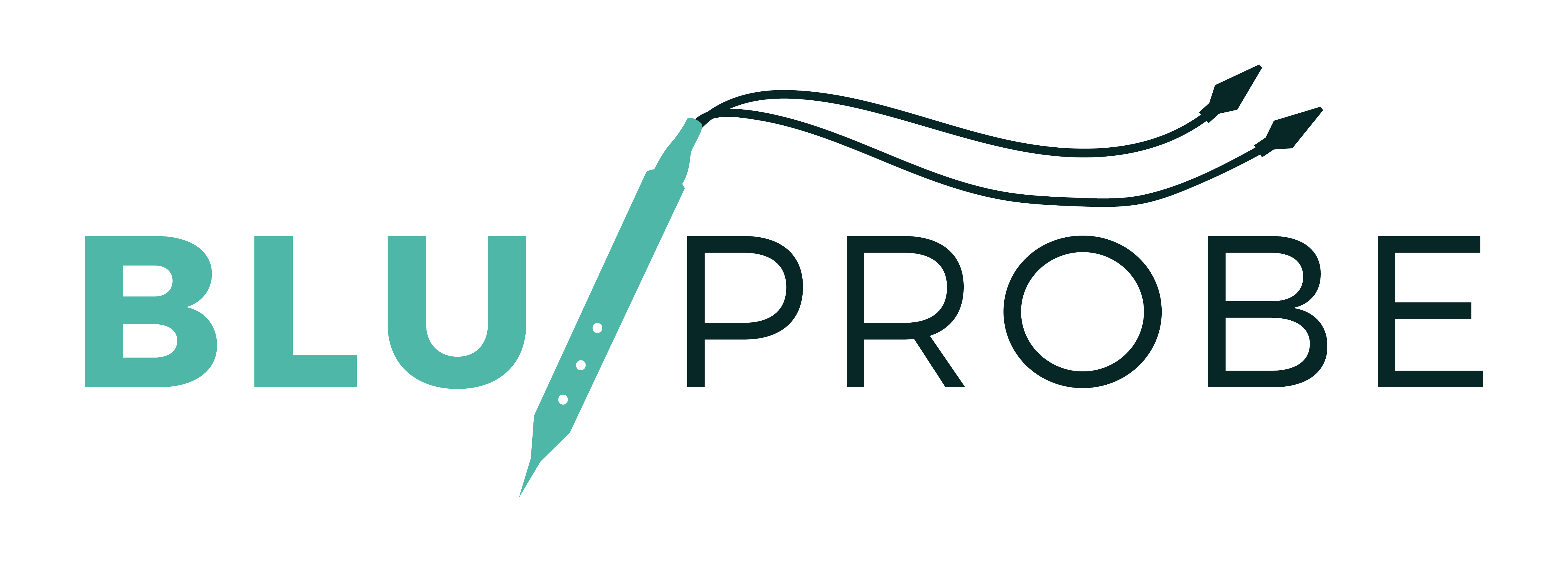 Bluprobe Digital Marketing