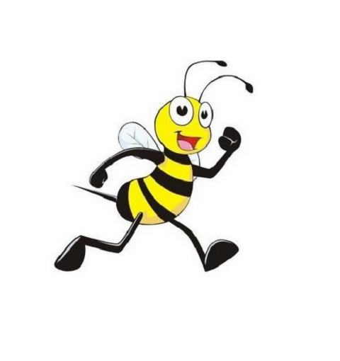 Oakland Bee and Rat Removal