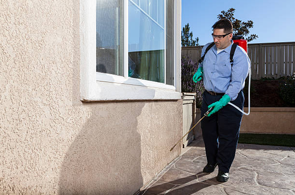 Berkeley Exterminator Service