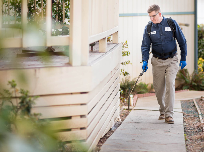 Step Above Pest Control