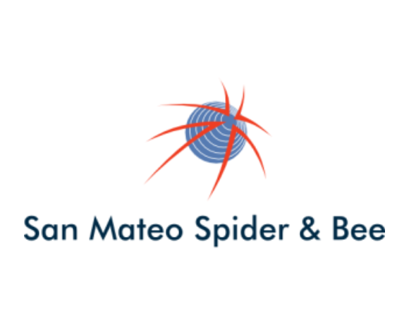 San Mateo Spider & Bee