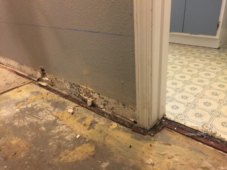 SC Flood and Storm Repair