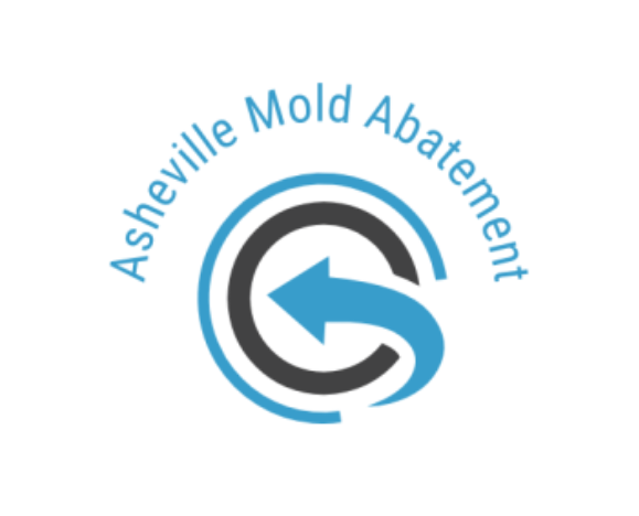 Asheville Mold Abatement