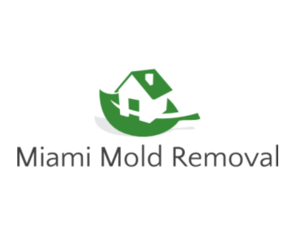 Miami Mold Removal