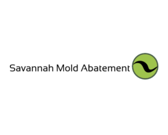 Savannah Mold Abatement