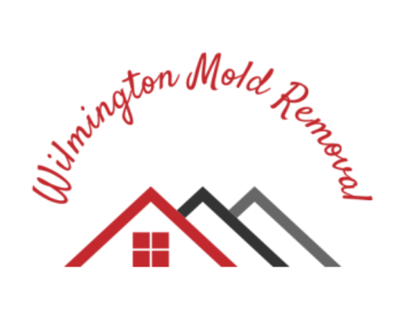 Wilmington Mold Removal