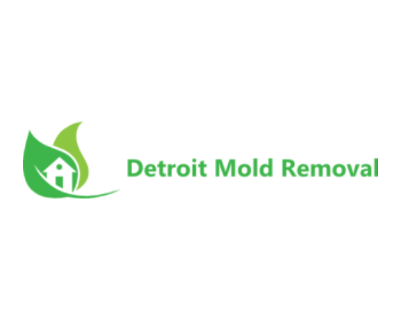 Detroit Mold Removal