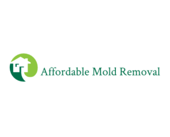 Daly City Mold Removal Service