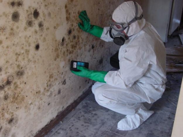 San Diego Mold Abatement