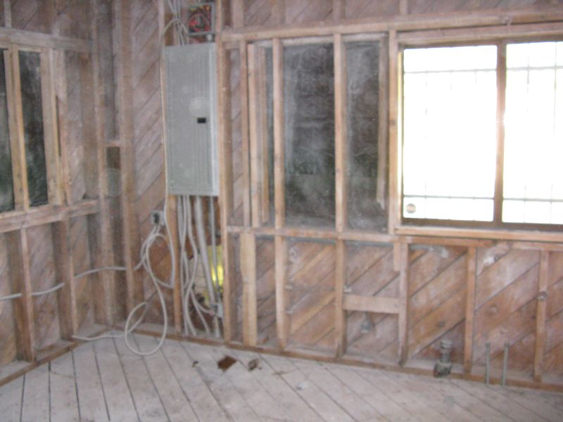 Santa Ana Mold Removal