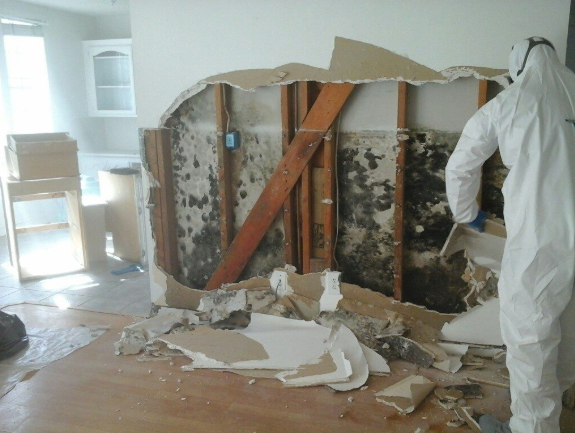Santa Clarita Mold Abatement