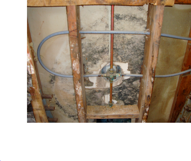 Santee Mold Removal