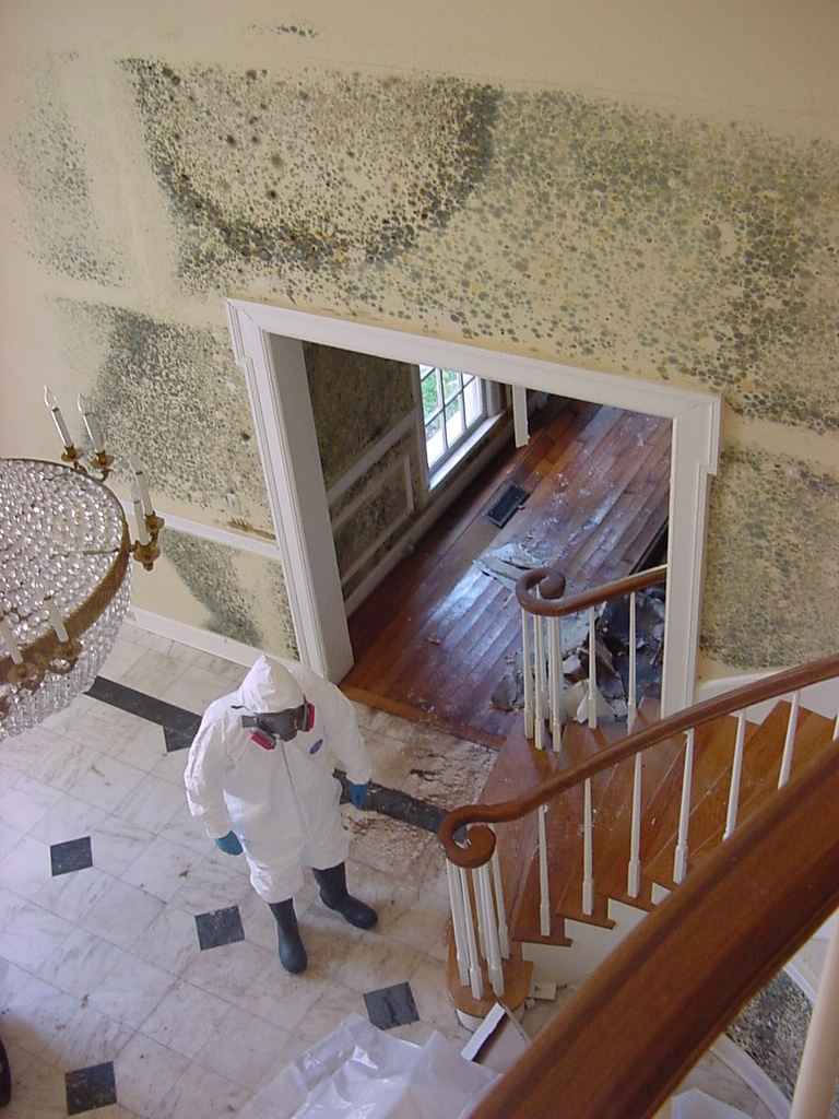 Fort Myers Mold Abatement