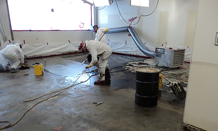 Jupiter Mold Removal