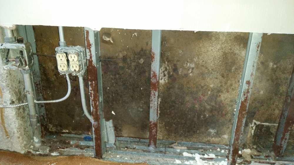 Scottsdale Mold Removal