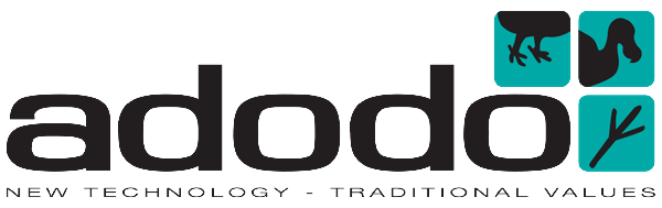 Adodo Consultancy Services Limited