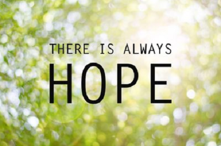 Gateway Wellness Foundation Saint Louis, MO 63144