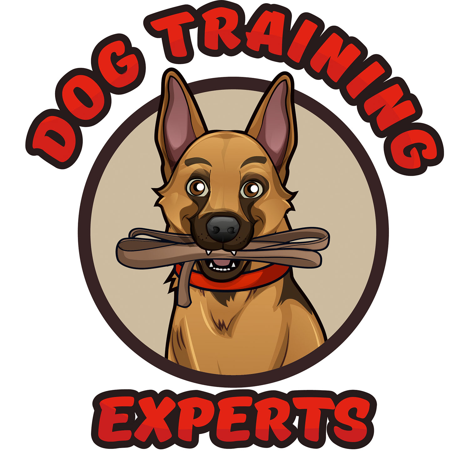 Fort Worth Dog Training Experts