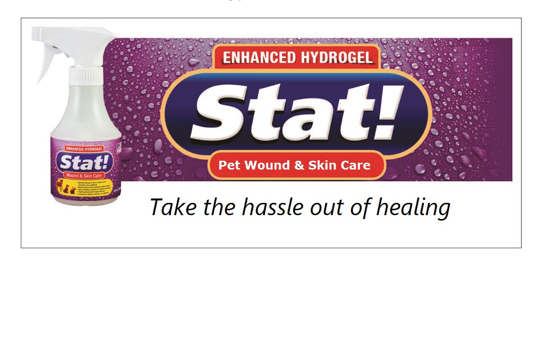 Corral del Cielo, LLC