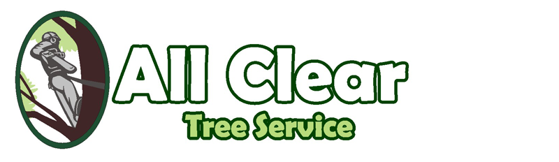 All Clear Tree Service Coronado