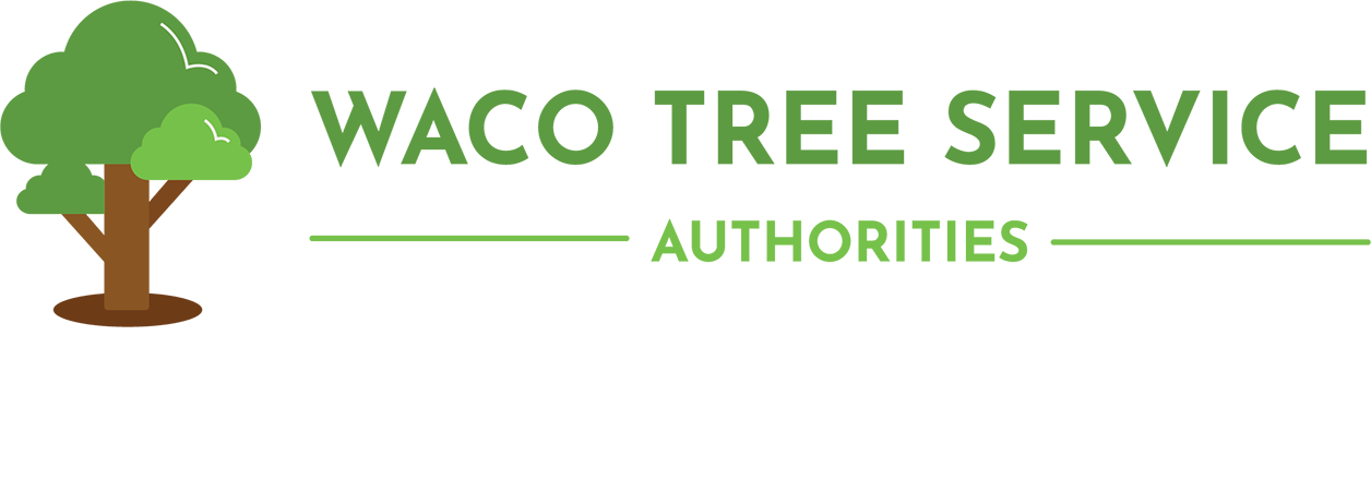 Waco Tree Service Authorities
