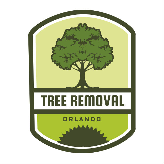 Tree Removal Orlando