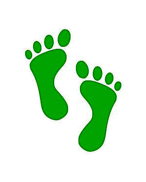 GreenFeet Industries, Inc