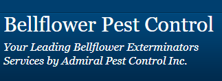 Bellflower Pest Control