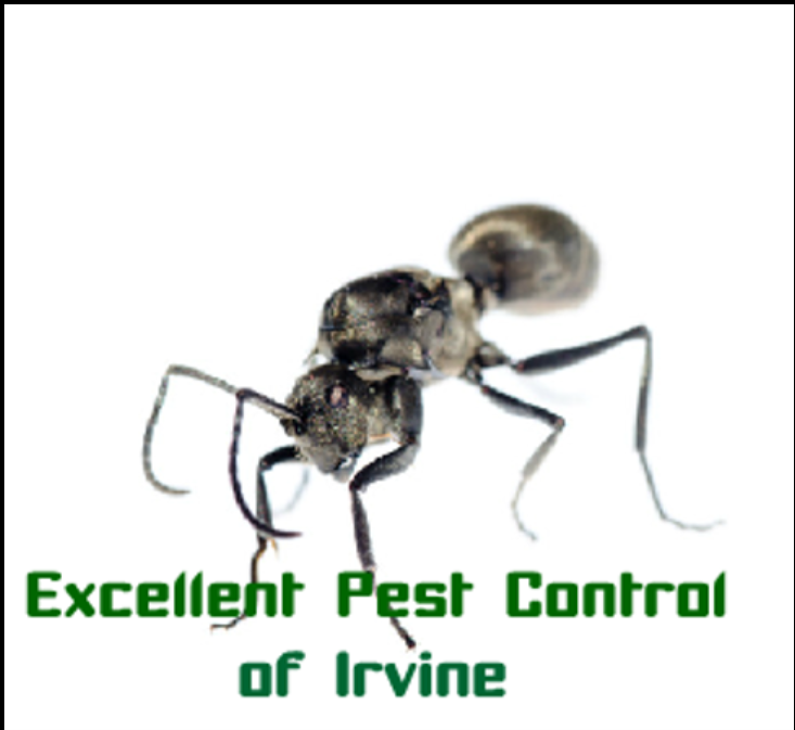 Excellent Pest Control of Irvine