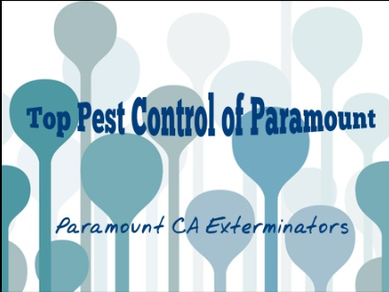 Top Pest Control of Paramount-LOST