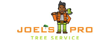 Joels Pro Tree Service of Tipp City
