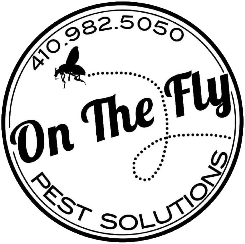On The Fly Pest Solutions