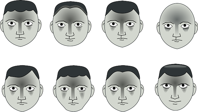 Erin Tree Service Pros