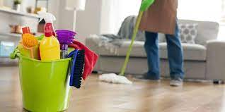 Professional Home Cleaners